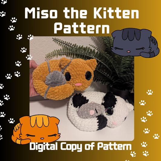 Miso the Kitten